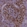 Anti-CD40 Antibody