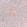 Anti-BCL6 Antibody