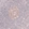 Anti-BCL6 Antibody
