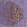 Anti-ITGAM Antibody