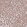 Anti-SLC25A42 Antibody