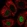 Anti-TP53 Antibody