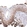 Anti-TUFM Antibody