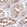 Anti-SPINT2 Antibody
