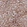 Anti-SLC39A3 Antibody