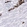 Anti-CALB1 Antibody