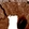 Anti-PVALB Antibody