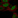 Anti-POU3F3 Antibody