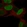 Anti-POU3F3 Antibody