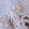Anti-CD38 Antibody