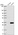 Anti-CLCF1 Antibody