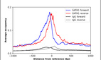 ChIP-Exo-Seq composite graph for Anti-GATA1 (HPA000232, Lot 000028291) tested in K562 cells. Strand-specific reads (blue: forward, red: reverse) and IgG controls (black: forward, grey: reverse) are plotted against the distance from a composite set of reference binding sites. The antibody exhibits robust target enrichment compared to a non-specific IgG control and precisely reveals its structural organization around the binding site. Data generated by Prof. B. F. Pugh´s Lab at Cornell University.