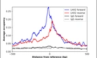 ChIP-Exo-Seq composite graph for Anti-LHX2 (HPA000838, Lot 000048262) tested in K562 cells. Strand-specific reads (blue: forward, red: reverse) and IgG controls (black: forward, grey: reverse) are plotted against the distance from a composite set of reference binding sites. The antibody exhibits robust target enrichment compared to a non-specific IgG control and precisely reveals its structural organization around the binding site. Data generated by Prof. B. F. Pugh´s Lab at Cornell University.