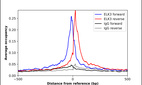 ChIP-Exo-Seq composite graph for Anti-ELK3 (HPA001600, Lot A08304) tested in K562 cells. Strand-specific reads (blue: forward, red: reverse) and IgG controls (black: forward, grey: reverse) are plotted against the distance from a composite set of reference binding sites. The antibody exhibits robust target enrichment compared to a non-specific IgG control and precisely reveals its structural organization around the binding site. Data generated by Prof. B. F. Pugh´s Lab at Cornell University.