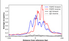 ChIP-Exo-Seq composite graph for Anti-FOXP2 (HPA001679, Lot 000002931) tested in K562 cells. Strand-specific reads (blue: forward, red: reverse) and IgG controls (black: forward, grey: reverse) are plotted against the distance from a composite set of reference binding sites. The antibody exhibits robust target enrichment compared to a non-specific IgG control and precisely reveals its structural organization around the binding site. Data generated by Prof. B. F. Pugh´s Lab at Cornell University.
