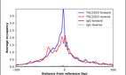 ChIP-Exo-Seq composite graph for Anti-TSC22D3 (HPA001916, Lot A116740) tested in K562 cells. Strand-specific reads (blue: forward, red: reverse) and IgG controls (black: forward, grey: reverse) are plotted against the distance from a composite set of reference binding sites. The antibody exhibits robust target enrichment compared to a non-specific IgG control and precisely reveals its structural organization around the binding site. Data generated by Prof. B. F. Pugh´s Lab at Cornell University.