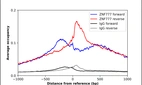 ChIP-Exo-Seq composite graph for Anti-ZNF777 (HPA003252, Lot R04352) tested in K562 cells. Strand-specific reads (blue: forward, red: reverse) and IgG controls (black: forward, grey: reverse) are plotted against the distance from a composite set of reference binding sites. The antibody exhibits robust target enrichment compared to a non-specific IgG control and precisely reveals its structural organization around the binding site. Data generated by Prof. B. F. Pugh´s Lab at Cornell University.