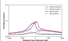ChIP-Exo-Seq composite graph for Anti-OLIG2 (HPA003254, Lot 000047004) tested in K562 cells. Strand-specific reads (blue: forward, red: reverse) and IgG controls (black: forward, grey: reverse) are plotted against the distance from a composite set of reference binding sites. The antibody exhibits robust target enrichment compared to a non-specific IgG control and precisely reveals its structural organization around the binding site. Data generated by Prof. B. F. Pugh´s Lab at Cornell University.