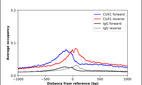 ChIP-Exo-Seq composite graph for Anti-CUX1 (HPA003317, Lot 000026705) tested in K562 cells. Strand-specific reads (blue: forward, red: reverse) and IgG controls (black: forward, grey: reverse) are plotted against the distance from a composite set of reference binding sites. The antibody exhibits robust target enrichment compared to a non-specific IgG control and precisely reveals its structural organization around the binding site. Data generated by Prof. B. F. Pugh´s Lab at Cornell University.
