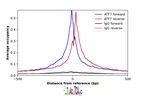 ChIP-Exo-Seq composite graph for Anti-ATF7 (HPA003384, Lot A96610) tested in K562 cells. Strand-specific reads (blue: forward, red: reverse) and IgG controls (black: forward, grey: reverse) are plotted against the distance from a composite set of reference binding sites. The antibody exhibits robust target enrichment compared to a non-specific IgG control and precisely reveals its structural organization around the binding site. Data generated by Prof. B. F. Pugh´s Lab at Cornell University.