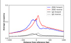 ChIP-Exo-Seq composite graph for Anti-ZEB2 (HPA003456, Lot 000044709) tested in K562 cells. Strand-specific reads (blue: forward, red: reverse) and IgG controls (black: forward, grey: reverse) are plotted against the distance from a composite set of reference binding sites. The antibody exhibits robust target enrichment compared to a non-specific IgG control and precisely reveals its structural organization around the binding site. Data generated by Prof. B. F. Pugh´s Lab at Cornell University.