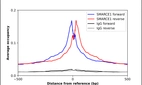 ChIP-Exo-Seq composite graph for Anti-SMARCE1 (HPA003916, Lot A107052) tested in K562 cells. Strand-specific reads (blue: forward, red: reverse) and IgG controls (black: forward, grey: reverse) are plotted against the distance from a composite set of reference binding sites. The antibody exhibits robust target enrichment compared to a non-specific IgG control and precisely reveals its structural organization around the binding site. Data generated by Prof. B. F. Pugh´s Lab at Cornell University.