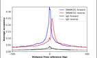 ChIP-Exo-Seq composite graph for Anti-SMARCD1 (HPA004101, Lot A105546) tested in K562 cells. Strand-specific reads (blue: forward, red: reverse) and IgG controls (black: forward, grey: reverse) are plotted against the distance from a composite set of reference binding sites. The antibody exhibits robust target enrichment compared to a non-specific IgG control and precisely reveals its structural organization around the binding site. Data generated by Prof. B. F. Pugh´s Lab at Cornell University.