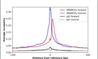 ChIP-Exo-Seq composite graph for Anti-SMARCD1 (HPA004101, Lot A105546) tested in K562 cells. Strand-specific reads (blue: forward, red: reverse) and IgG controls (black: forward, grey: reverse) are plotted against the distance from a composite set of reference binding sites. The antibody exhibits robust target enrichment compared to a non-specific IgG control and precisely reveals its structural organization around the binding site. Data generated by Prof. B. F. Pugh´s Lab at Cornell University.