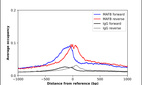 ChIP-Exo-Seq composite graph for Anti-MAFB (HPA005653, Lot 000044811) tested in K562 cells. Strand-specific reads (blue: forward, red: reverse) and IgG controls (black: forward, grey: reverse) are plotted against the distance from a composite set of reference binding sites. The antibody exhibits robust target enrichment compared to a non-specific IgG control and precisely reveals its structural organization around the binding site. Data generated by Prof. B. F. Pugh´s Lab at Cornell University.