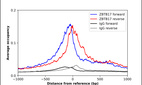 ChIP-Exo-Seq composite graph for Anti-ZBTB17 (HPA005789, Lot A82743) tested in K562 cells. Strand-specific reads (blue: forward, red: reverse) and IgG controls (black: forward, grey: reverse) are plotted against the distance from a composite set of reference binding sites. The antibody exhibits robust target enrichment compared to a non-specific IgG control and precisely reveals its structural organization around the binding site. Data generated by Prof. B. F. Pugh´s Lab at Cornell University.