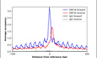 ChIP-Exo-Seq composite graph for Anti-ZNF18 (HPA006144, Lot 000046753) tested in K562 cells. Strand-specific reads (blue: forward, red: reverse) and IgG controls (black: forward, grey: reverse) are plotted against the distance from a composite set of reference binding sites. The antibody exhibits robust target enrichment compared to a non-specific IgG control and precisely reveals its structural organization around the binding site. Data generated by Prof. B. F. Pugh´s Lab at Cornell University.