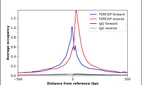 ChIP-Exo-Seq composite graph for Anti-TERF2IP (HPA006719, Lot A104906) tested in K562 cells. Strand-specific reads (blue: forward, red: reverse) and IgG controls (black: forward, grey: reverse) are plotted against the distance from a composite set of reference binding sites. The antibody exhibits robust target enrichment compared to a non-specific IgG control and precisely reveals its structural organization around the binding site. Data generated by Prof. B. F. Pugh´s Lab at Cornell University.