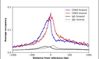 ChIP-Exo-Seq composite graph for Anti-CDK9 (HPA006738, Lot A116023) tested in K562 cells. Strand-specific reads (blue: forward, red: reverse) and IgG controls (black: forward, grey: reverse) are plotted against the distance from a composite set of reference binding sites. The antibody exhibits robust target enrichment compared to a non-specific IgG control and precisely reveals its structural organization around the binding site. Data generated by Prof. B. F. Pugh´s Lab at Cornell University.