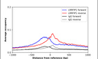 ChIP-Exo-Seq composite graph for Anti-LRRFIP1 (HPA006979, Lot A115035) tested in K562 cells. Strand-specific reads (blue: forward, red: reverse) and IgG controls (black: forward, grey: reverse) are plotted against the distance from a composite set of reference binding sites. The antibody exhibits robust target enrichment compared to a non-specific IgG control and precisely reveals its structural organization around the binding site. Data generated by Prof. B. F. Pugh´s Lab at Cornell University.