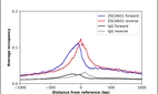 ChIP-Exo-Seq composite graph for Anti-ZSCAN31 (HPA007124, Lot R04501) tested in K562 cells. Strand-specific reads (blue: forward, red: reverse) and IgG controls (black: forward, grey: reverse) are plotted against the distance from a composite set of reference binding sites. The antibody exhibits robust target enrichment compared to a non-specific IgG control and precisely reveals its structural organization around the binding site. Data generated by Prof. B. F. Pugh´s Lab at Cornell University.
