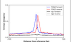 ChIP-Exo-Seq composite graph for Anti-FOXJ2 (HPA008723, Lot R02386) tested in K562 cells. Strand-specific reads (blue: forward, red: reverse) and IgG controls (black: forward, grey: reverse) are plotted against the distance from a composite set of reference binding sites. The antibody exhibits robust target enrichment compared to a non-specific IgG control and precisely reveals its structural organization around the binding site. Data generated by Prof. B. F. Pugh´s Lab at Cornell University.