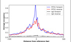 ChIP-Exo-Seq composite graph for Anti-PITX1 (HPA008743, Lot 000048743) tested in K562 cells. Strand-specific reads (blue: forward, red: reverse) and IgG controls (black: forward, grey: reverse) are plotted against the distance from a composite set of reference binding sites. The antibody exhibits robust target enrichment compared to a non-specific IgG control and precisely reveals its structural organization around the binding site. Data generated by Prof. B. F. Pugh´s Lab at Cornell University.