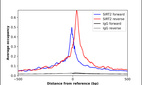 ChIP-Exo-Seq composite graph for Anti-SIRT2 (HPA011165, Lot 000048978) tested in K562 cells. Strand-specific reads (blue: forward, red: reverse) and IgG controls (black: forward, grey: reverse) are plotted against the distance from a composite set of reference binding sites. The antibody exhibits robust target enrichment compared to a non-specific IgG control and precisely reveals its structural organization around the binding site. Data generated by Prof. B. F. Pugh´s Lab at Cornell University.