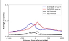 ChIP-Exo-Seq composite graph for Anti-GATAD2B (HPA017015, Lot 000020629) tested in K562 cells. Strand-specific reads (blue: forward, red: reverse) and IgG controls (black: forward, grey: reverse) are plotted against the distance from a composite set of reference binding sites. The antibody exhibits robust target enrichment compared to a non-specific IgG control and precisely reveals its structural organization around the binding site. Data generated by Prof. B. F. Pugh´s Lab at Cornell University.