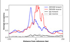 ChIP-Exo-Seq composite graph for Anti-ZNF408 (HPA017892, Lot R07710) tested in K562 cells. Strand-specific reads (blue: forward, red: reverse) and IgG controls (black: forward, grey: reverse) are plotted against the distance from a composite set of reference binding sites. The antibody exhibits robust target enrichment compared to a non-specific IgG control and precisely reveals its structural organization around the binding site. Data generated by Prof. B. F. Pugh´s Lab at Cornell University.