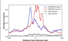 ChIP-Exo-Seq composite graph for Anti-ZNF408 (HPA017892, Lot R07710) tested in K562 cells. Strand-specific reads (blue: forward, red: reverse) and IgG controls (black: forward, grey: reverse) are plotted against the distance from a composite set of reference binding sites. The antibody exhibits robust target enrichment compared to a non-specific IgG control and precisely reveals its structural organization around the binding site. Data generated by Prof. B. F. Pugh´s Lab at Cornell University.