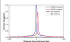 ChIP-Exo-Seq composite graph for Anti-FOXK1 (HPA018864, Lot 000020125) tested in K562 cells. Strand-specific reads (blue: forward, red: reverse) and IgG controls (black: forward, grey: reverse) are plotted against the distance from a composite set of reference binding sites. The antibody exhibits robust target enrichment compared to a non-specific IgG control and precisely reveals its structural organization around the binding site. Data generated by Prof. B. F. Pugh´s Lab at Cornell University.