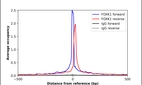 ChIP-Exo-Seq composite graph for Anti-FOXK1 (HPA018864, Lot 000020125) tested in K562 cells. Strand-specific reads (blue: forward, red: reverse) and IgG controls (black: forward, grey: reverse) are plotted against the distance from a composite set of reference binding sites. The antibody exhibits robust target enrichment compared to a non-specific IgG control and precisely reveals its structural organization around the binding site. Data generated by Prof. B. F. Pugh´s Lab at Cornell University.