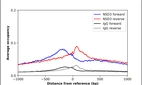 ChIP-Exo-Seq composite graph for Anti-NSD3 (HPA018893, Lot A78442) tested in K562 cells. Strand-specific reads (blue: forward, red: reverse) and IgG controls (black: forward, grey: reverse) are plotted against the distance from a composite set of reference binding sites. The antibody exhibits robust target enrichment compared to a non-specific IgG control and precisely reveals its structural organization around the binding site. Data generated by Prof. B. F. Pugh´s Lab at Cornell University.