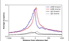 ChIP-Exo-Seq composite graph for Anti-JUNB (HPA019149, Lot C115965) tested in K562 cells. Strand-specific reads (blue: forward, red: reverse) and IgG controls (black: forward, grey: reverse) are plotted against the distance from a composite set of reference binding sites. The antibody exhibits robust target enrichment compared to a non-specific IgG control and precisely reveals its structural organization around the binding site. Data generated by Prof. B. F. Pugh´s Lab at Cornell University.