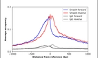 ChIP-Exo-Seq composite graph for Anti-SMAD4 (HPA019154, Lot 000011156) tested in K562 cells. Strand-specific reads (blue: forward, red: reverse) and IgG controls (black: forward, grey: reverse) are plotted against the distance from a composite set of reference binding sites. The antibody exhibits robust target enrichment compared to a non-specific IgG control and precisely reveals its structural organization around the binding site. Data generated by Prof. B. F. Pugh´s Lab at Cornell University.