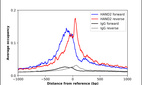 ChIP-Exo-Seq composite graph for Anti-HAND2 (HPA019591, Lot 000050275) tested in K562 cells. Strand-specific reads (blue: forward, red: reverse) and IgG controls (black: forward, grey: reverse) are plotted against the distance from a composite set of reference binding sites. The antibody exhibits robust target enrichment compared to a non-specific IgG control and precisely reveals its structural organization around the binding site. Data generated by Prof. B. F. Pugh´s Lab at Cornell University.