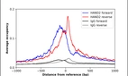 ChIP-Exo-Seq composite graph for Anti-HAND2 (HPA019591, Lot 000050275) tested in K562 cells. Strand-specific reads (blue: forward, red: reverse) and IgG controls (black: forward, grey: reverse) are plotted against the distance from a composite set of reference binding sites. The antibody exhibits robust target enrichment compared to a non-specific IgG control and precisely reveals its structural organization around the binding site. Data generated by Prof. B. F. Pugh´s Lab at Cornell University.