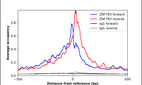 ChIP-Exo-Seq composite graph for Anti-ZNF783 (HPA020375, Lot R09729) tested in K562 cells. Strand-specific reads (blue: forward, red: reverse) and IgG controls (black: forward, grey: reverse) are plotted against the distance from a composite set of reference binding sites. The antibody exhibits robust target enrichment compared to a non-specific IgG control and precisely reveals its structural organization around the binding site. Data generated by Prof. B. F. Pugh´s Lab at Cornell University.