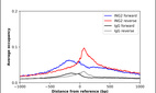 ChIP-Exo-Seq composite graph for Anti-ING2 (HPA021517, Lot 000028241) tested in K562 cells. Strand-specific reads (blue: forward, red: reverse) and IgG controls (black: forward, grey: reverse) are plotted against the distance from a composite set of reference binding sites. The antibody exhibits robust target enrichment compared to a non-specific IgG control and precisely reveals its structural organization around the binding site. Data generated by Prof. B. F. Pugh´s Lab at Cornell University.